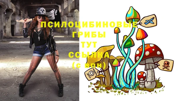 герыч Бородино