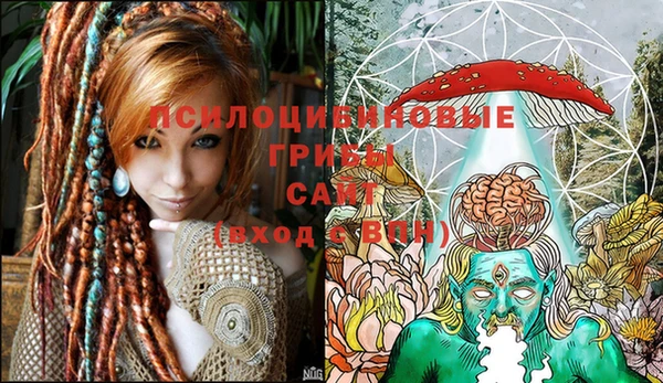 стаф Верхний Тагил