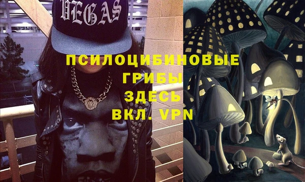 молекула духа Бугульма