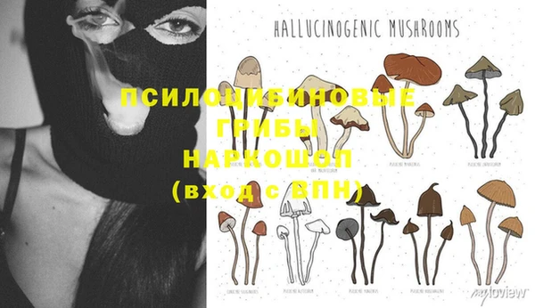 Альфа ПВП Бронницы