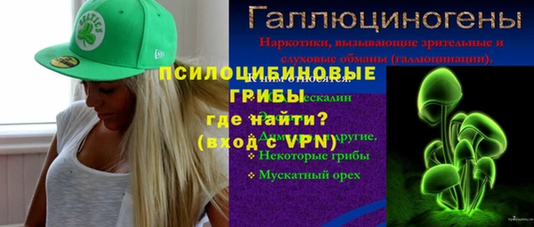 стаф Верхний Тагил