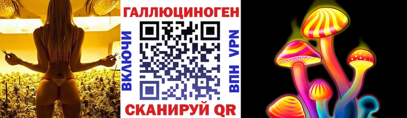 KRAKEN как зайти  Катайск  Псилоцибиновые грибы Magic Shrooms 